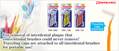 L-interdental-4p