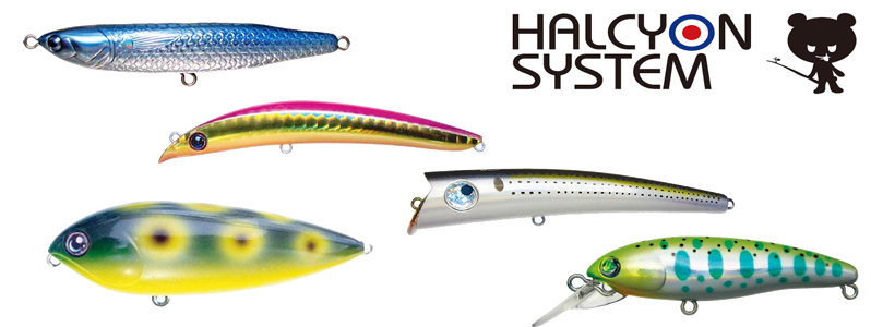 http://www.japantorg.com/products/fishing/files/2014/05/halcyon-798x300px.jpg