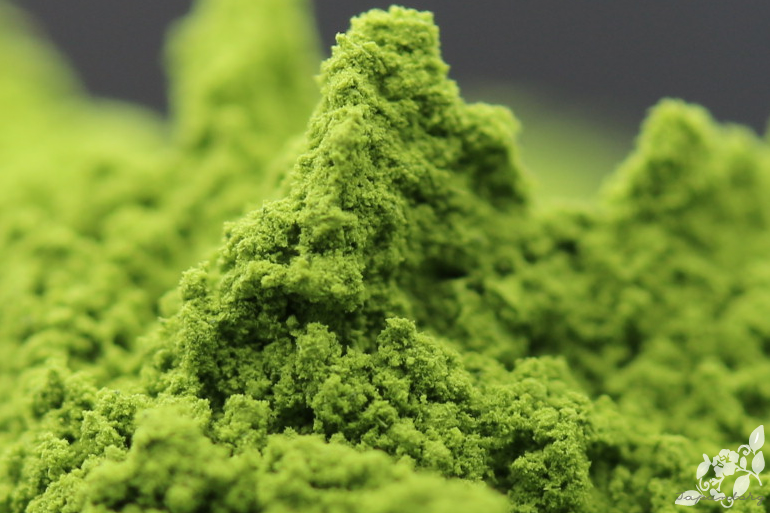 matcha-japantorg-1