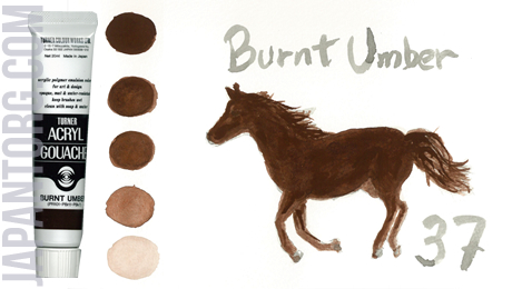 ag-37-burnt-umber