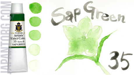 wc-35-sap-green