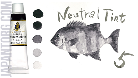 wc-5-neutral-tint