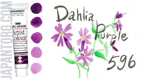 ac-596-dahlia-purple